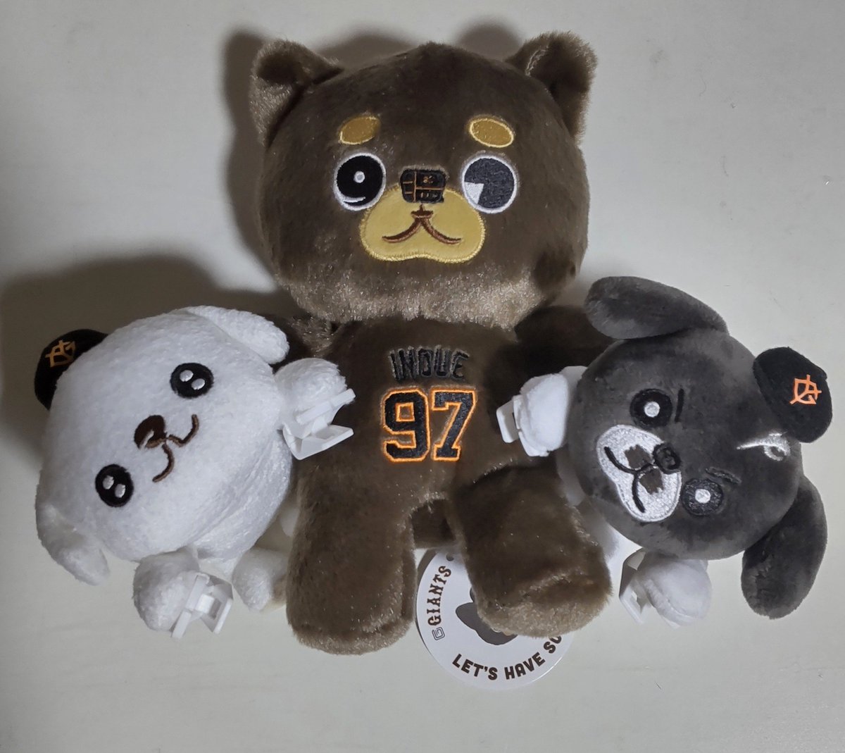 nami773nwew's tweet photo. 「一緒にお出かけしましょうね、丸チーズさん！カイシーズーさん！」
「暑いからお家にいる〜💦」
「あっちぃから嫌まる！！涼しい部屋でラーメンすするまるよ！！」 https://t.co/BRCtiYaLdH