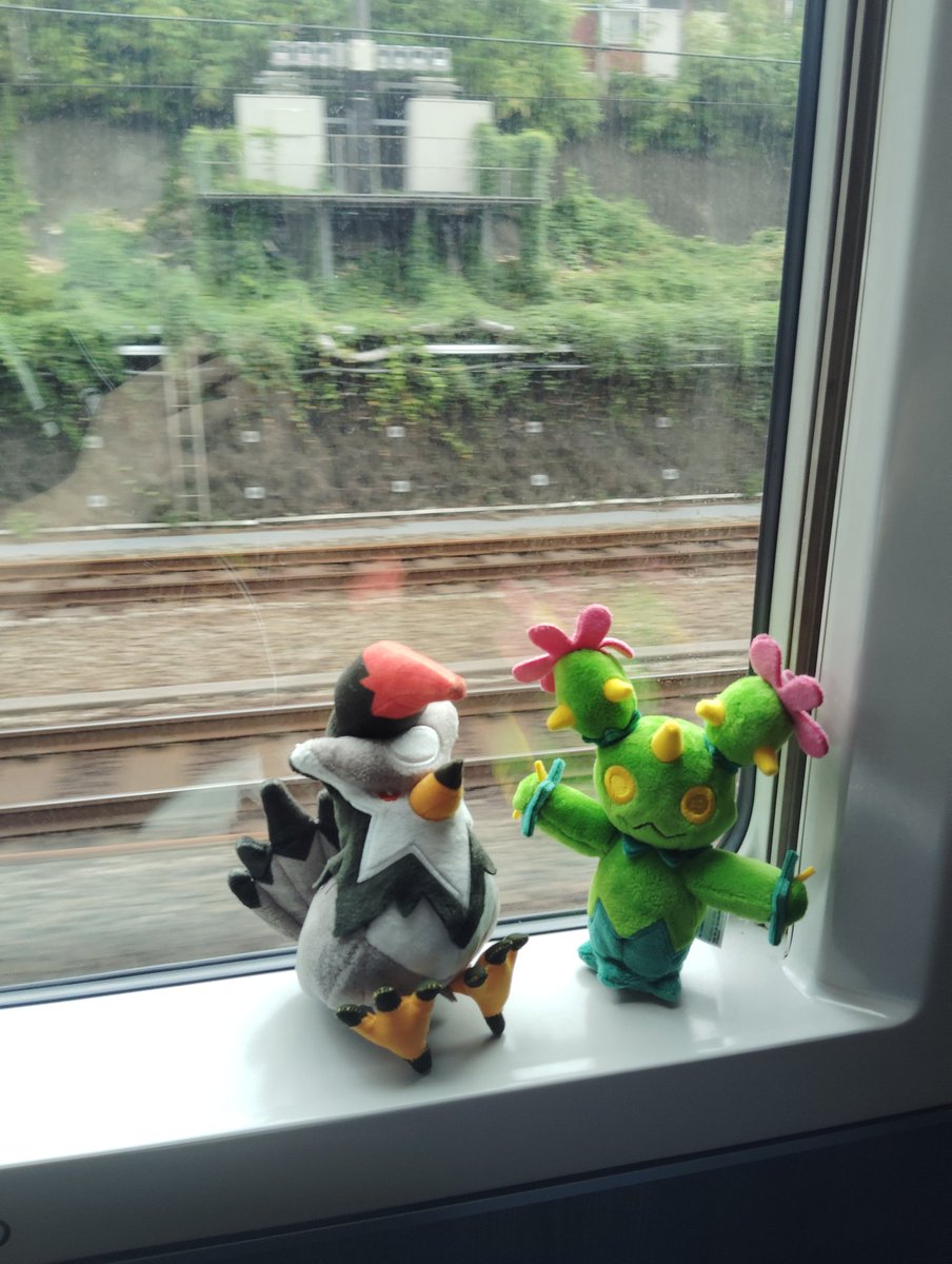 outa_harukaze's tweet photo. 無事グリーン車に侵入完了 https://t.co/T3yRSKvTRS