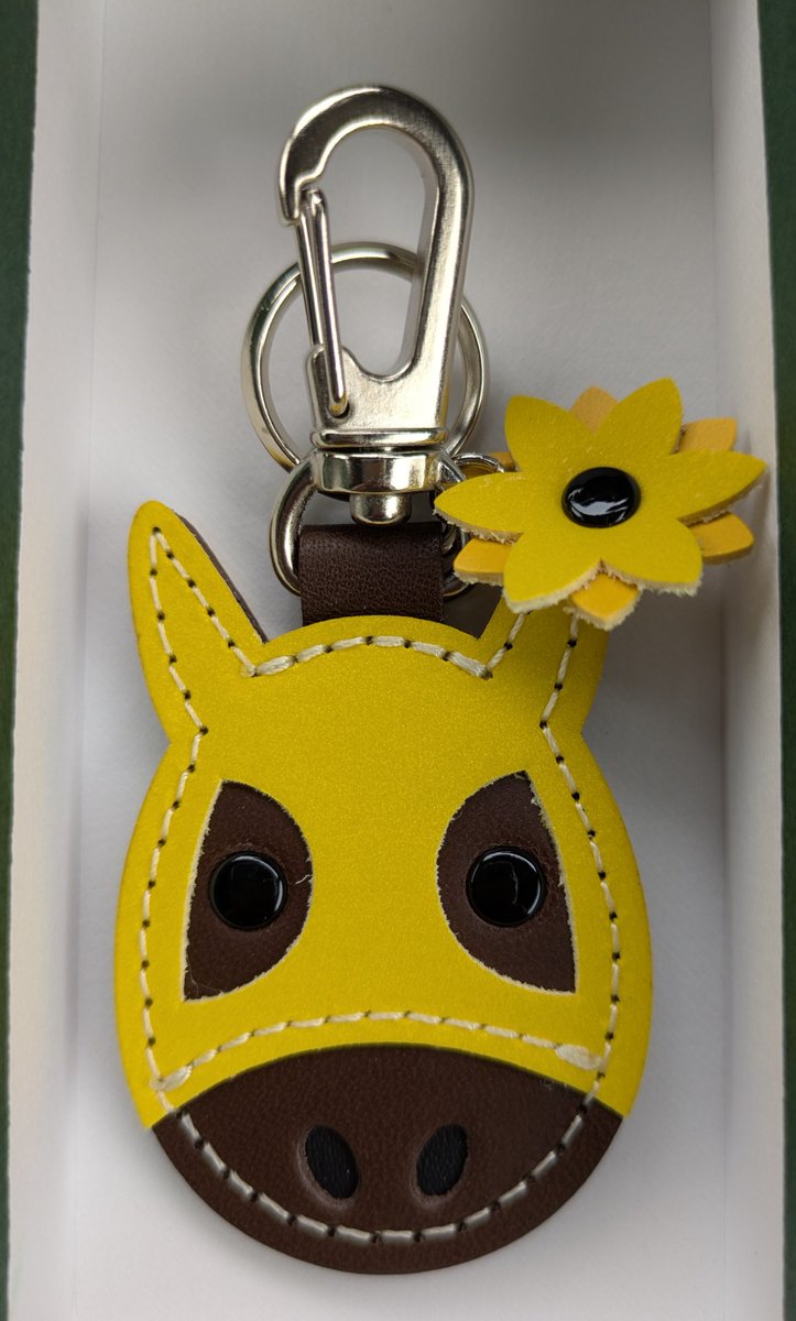 momo14137132344's tweet photo. 地の利を生かして買ってきたぁ🐴
#somes さんの馬メンコキーホルダー
🌻付き💕
夜光るらしい🤩
かわいいです😍 https://t.co/rUauSbg3uW