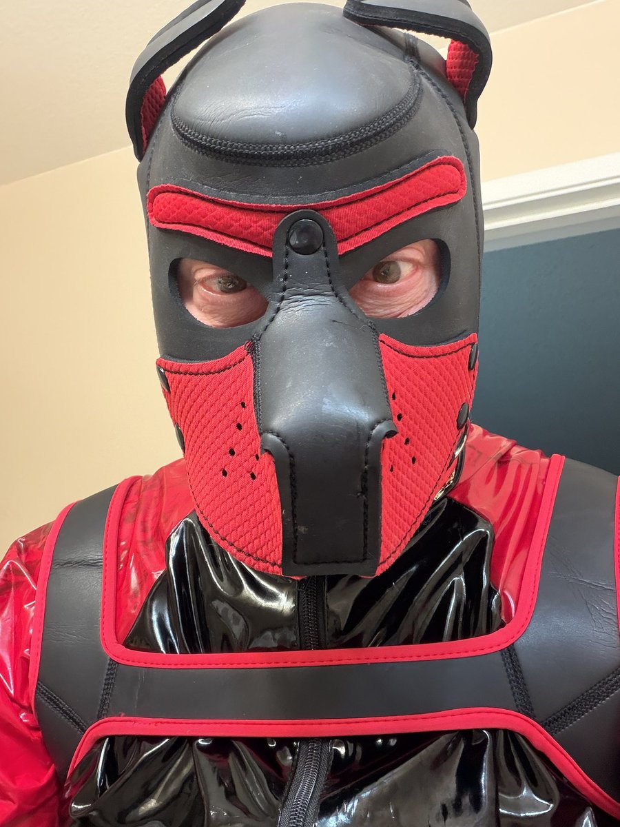 SabreToothTeeko's tweet photo. Taking more pictures of Rubbet Thunder in more rubber gear https://t.co/8RwoqHiXiJ