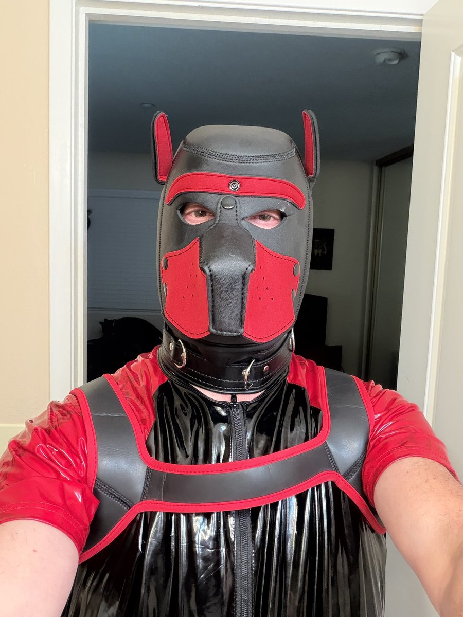 SabreToothTeeko's tweet photo. Taking more pictures of Rubbet Thunder in more rubber gear https://t.co/8RwoqHiXiJ