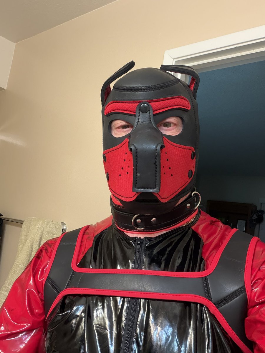 SabreToothTeeko's tweet photo. Taking more pictures of Rubbet Thunder in more rubber gear https://t.co/8RwoqHiXiJ