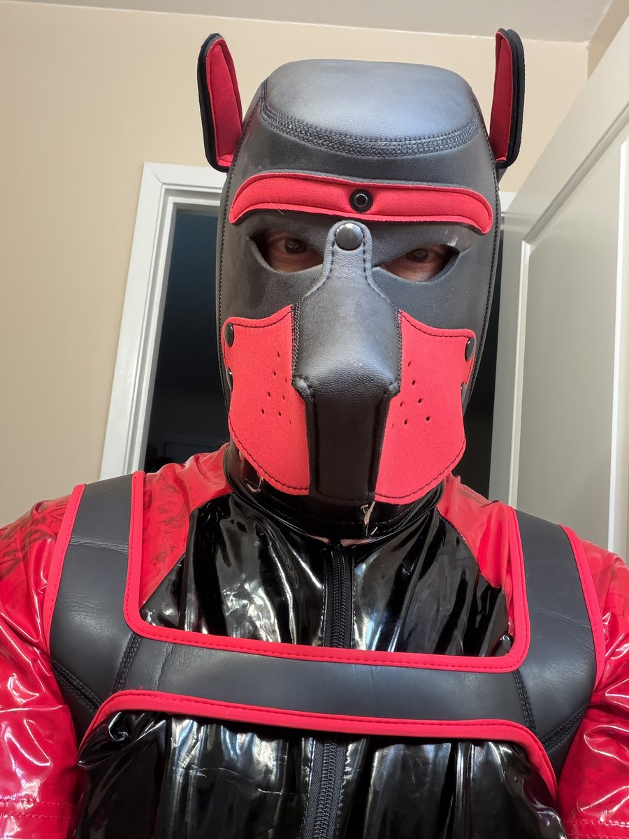 SabreToothTeeko's tweet photo. Taking more pictures of Rubbet Thunder in more rubber gear https://t.co/8RwoqHiXiJ