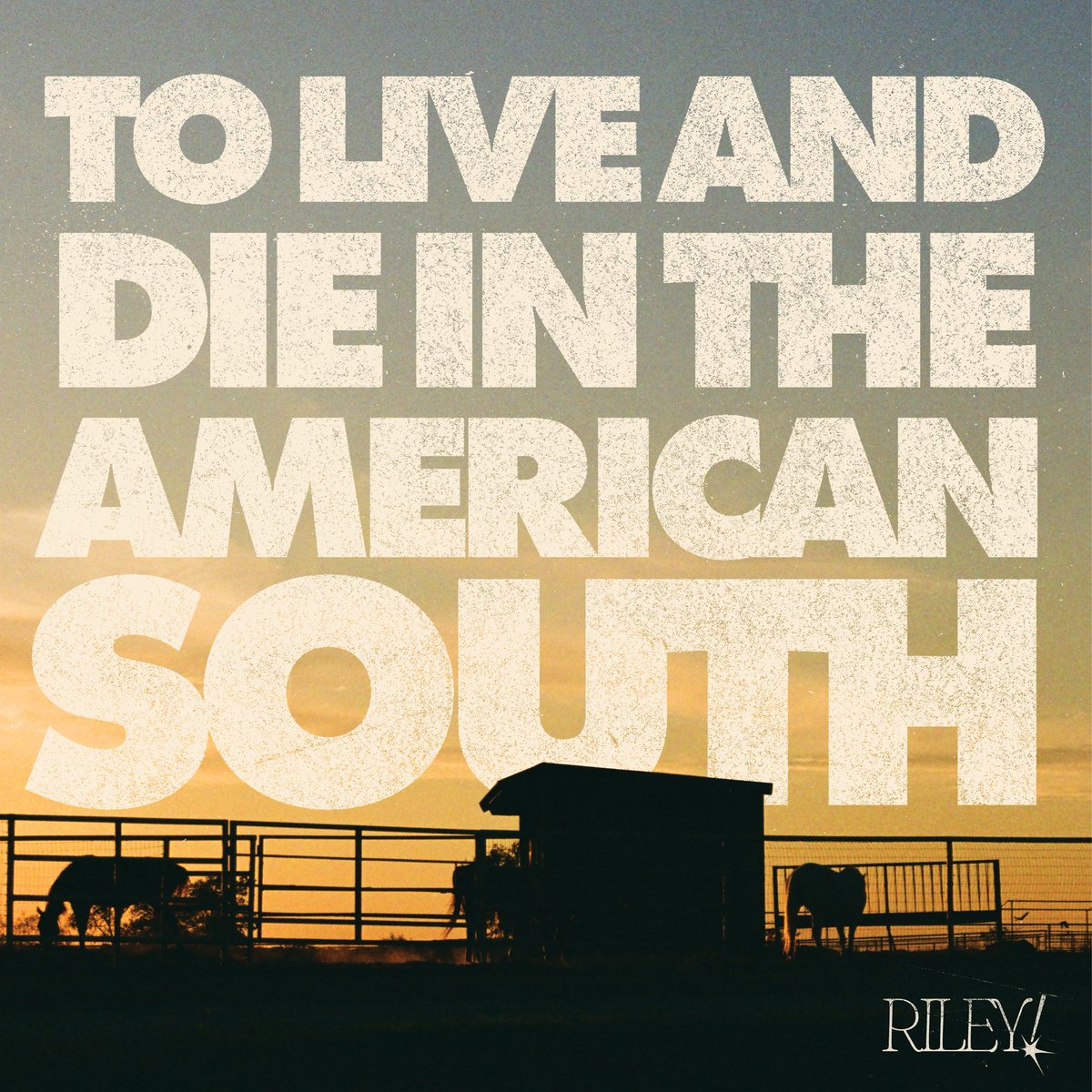 RILEYtheband's tweet photo. TO LIVE AND DIE IN THE AMERICAN SOUTH is out now. listen to it on @AppleMusic 🐍🏜️

https://t.co/Lz2BqwGnKT https://t.co/NgkEXKAtI4