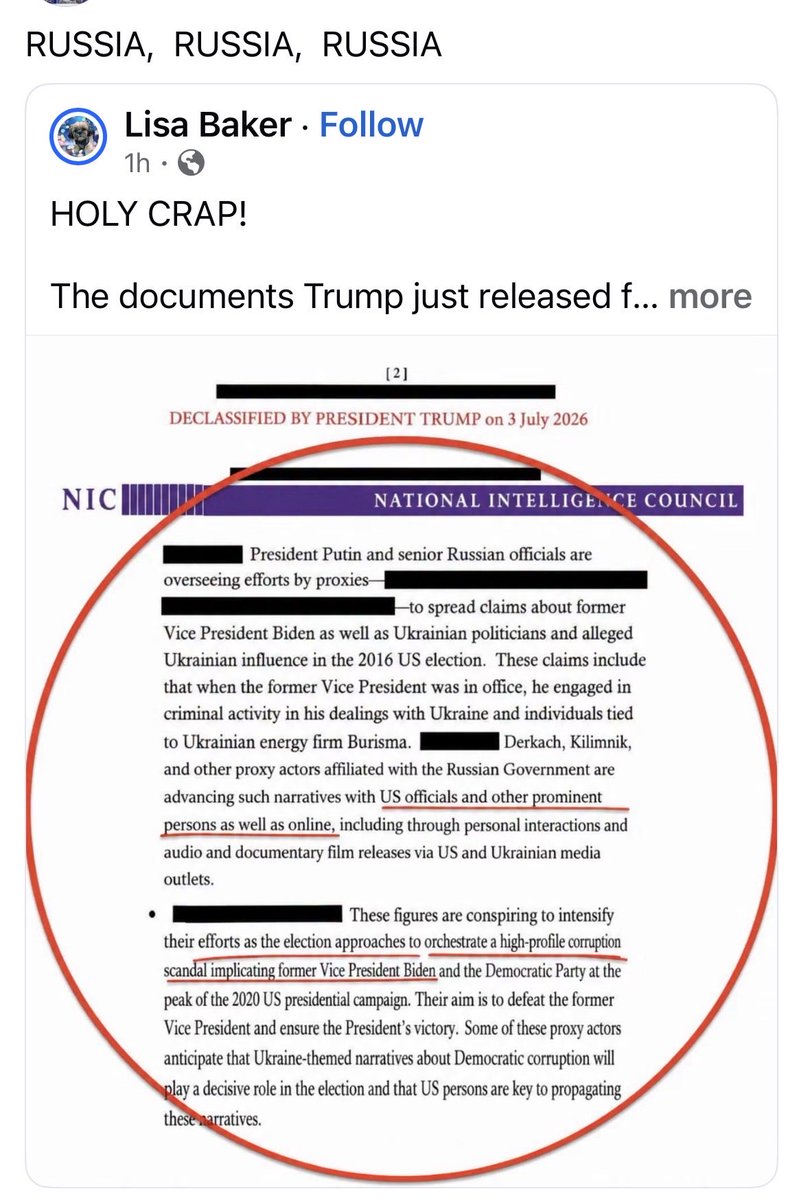 RustceHome's tweet photo. @BoLoudon Liar. It was in fact RUSSIA that interfered for Trump! He released the proof!!!! https://t.co/S7wGiBNxXb