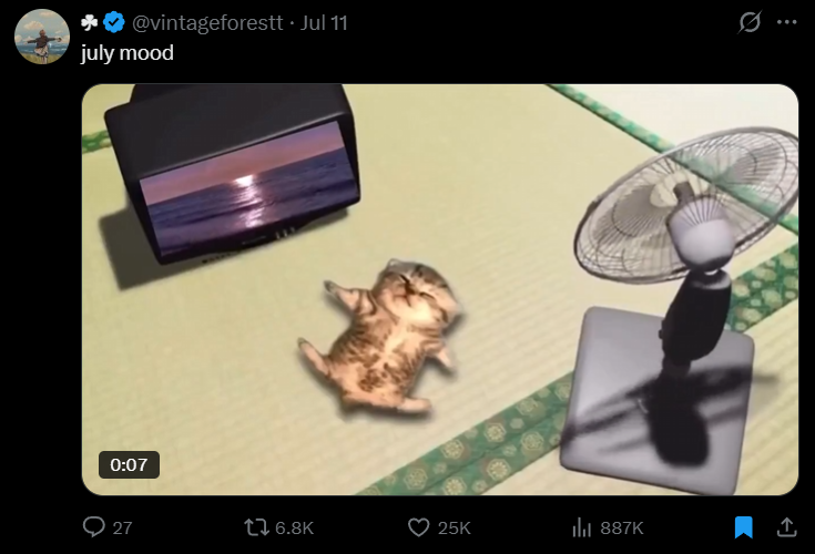 10000xVortex tweet media