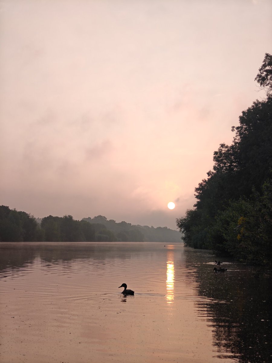 DeDebosschereD's tweet photo. Lauwe 06u18
#vrtweer https://t.co/HTRF0YHpLf