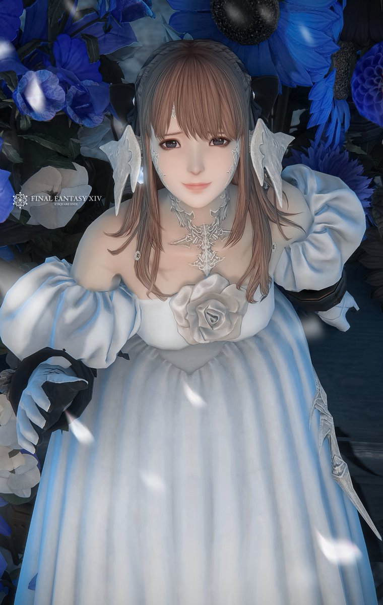 Post by 雪❄ふわふわʚ♡⃛ɞ on X: 💙