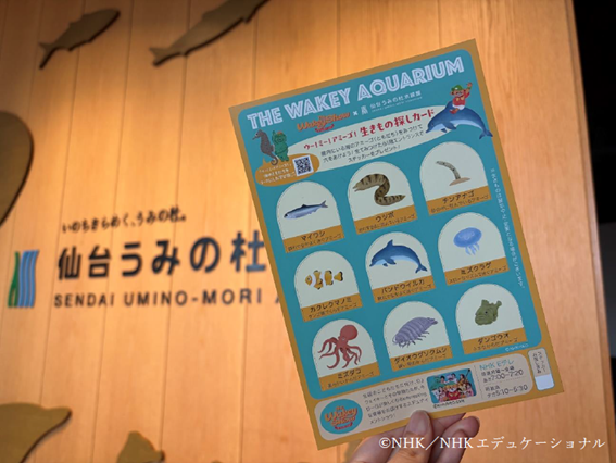 sendaiuminomori's tweet photo. 【仙台うみの杜水族館】
本日7月17日（金）から8月30日（日）の期間、開催される「THE WAKEY AQUARIUM 海のサマーパーティー」がいよいよスタート！

「The Wakey Show」の楽曲を使用したスペシャルコラボバージョンのイルカ・アシカ・バードによるパフォーマンス、さらに、学びうた「ウー！ミー！アミーゴ！」の世界観を味わいながら、楽しむことができる『生きもの探しカード』など、夏のうみの杜をコラボの世界観の中、思いっきり楽しんでくださいね🌞

＃s_uminomori #TheWakeyShow #thewakeyaquarium