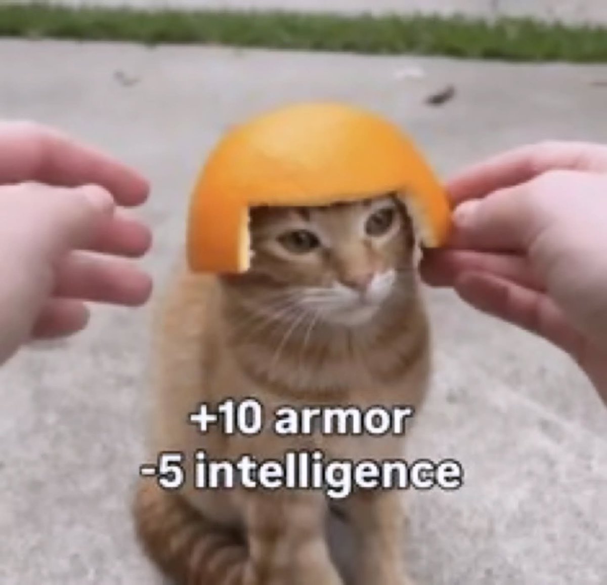 catpostaura's tweet photo. https://t.co/E8mCMyyWRj
