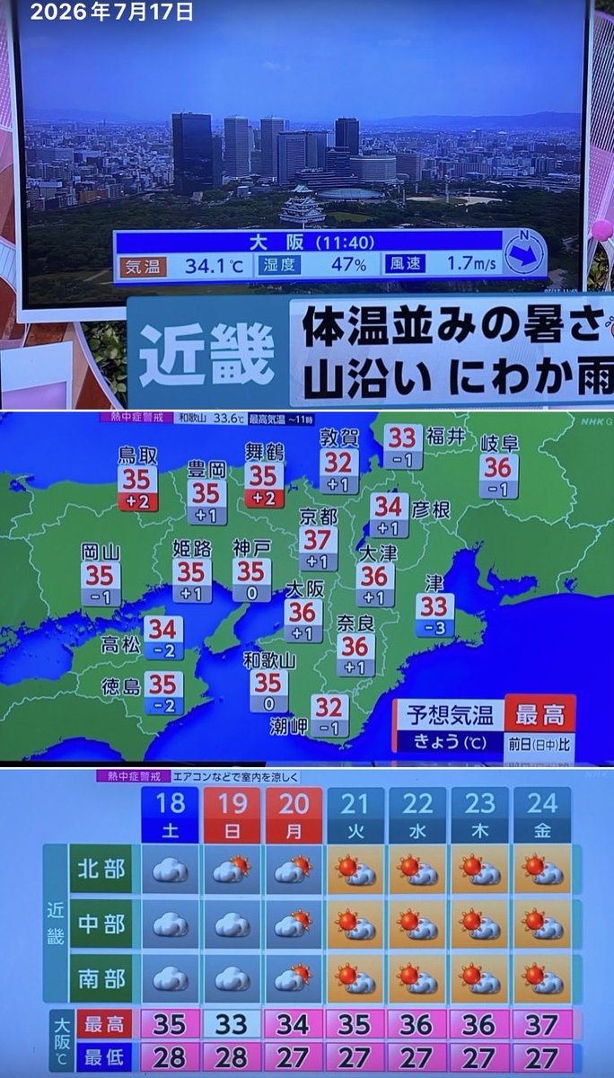 ポル (吉岡ひとみ) tweet media