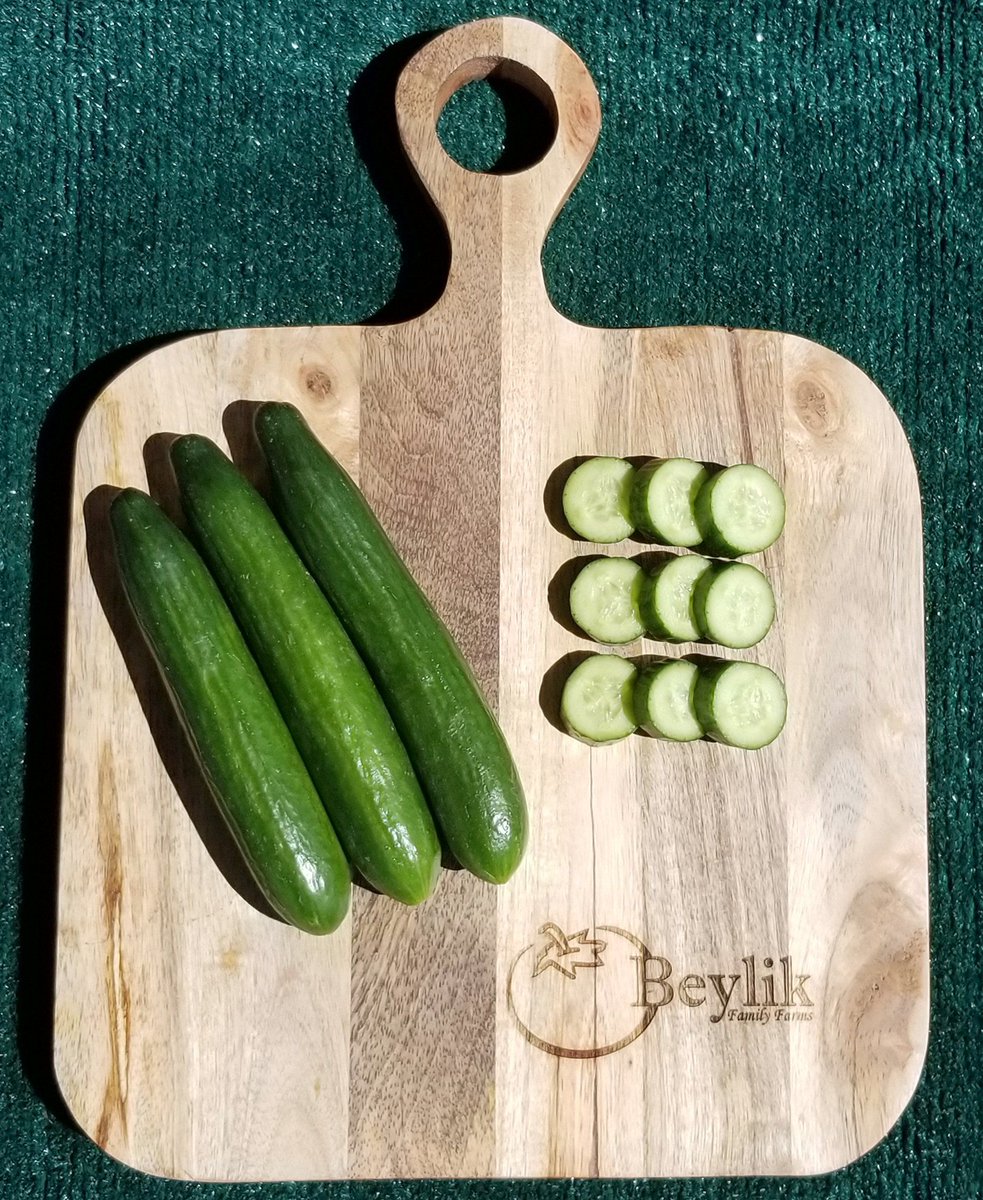 BeylikFarms's tweet photo. Our perfect Persian cucumbers have a crisp sweet clean taste. No bitterness no seeds &amp; no peeling required! We’ll also have our award-winning Big Beef, San Marzano, Yellow, &amp; Japanese tomato varieties, Hot and Sweet Peppers, &amp; summer squash. Market info https://t.co/sCVyPclx27 https://t.co/iaighmXCpR