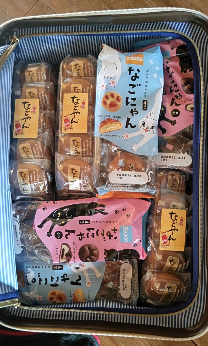 dummyhearts's tweet photo. スーツケースの中身、半分がなごやん https://t.co/D8dUTCtOV7