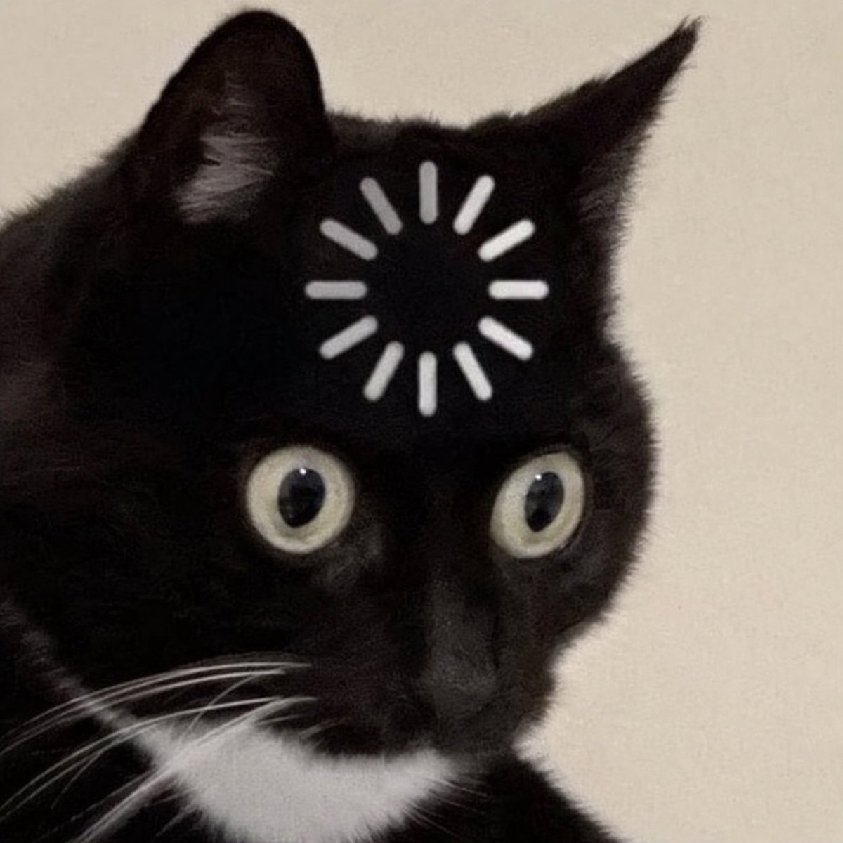 introvertsmemes's tweet photo. “Tell me more about yourself…”

Me trying to remember who I am: https://t.co/u38Oy2kZLy