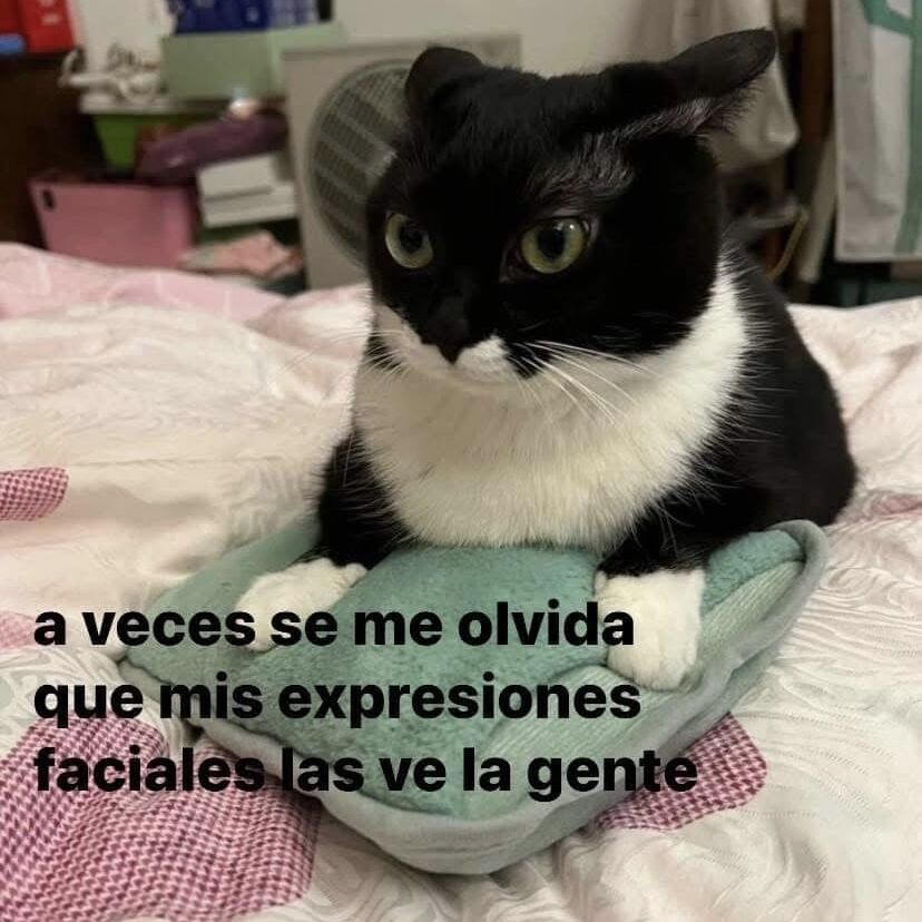 FraseSimple tweet picture