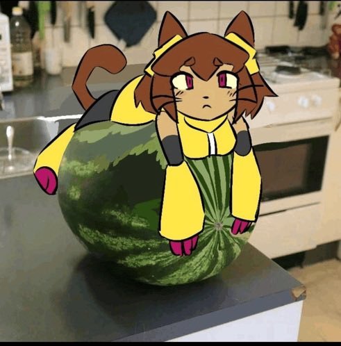 ILoveVappy's tweet photo. Kit ❤️ #Gameoverse #Kitbodega #Cute #Funny https://t.co/0AO7Cnam0S