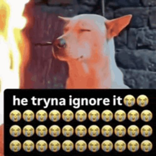 nnnivla's tweet photo. he tryna ignore it 😭😭😭😭 https://t.co/djmPaRsK8m