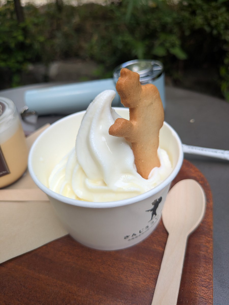meqqe_official's tweet photo. 梅雨が明けていよいよ夏本番ですね☀️

暑い日にぜひ訪れてほしい、涼やかで特別なお店をご紹介します💁‍♀️✨
【きんじろうカフェ】
https://t.co/IRBzlKNllx
小田原城址公園内の報徳二宮神社境内に佇む、緑豊かなオープンカフェ🌳
暑い夏の日でも、豊かな自然と木陰の涼しさを感じながら、ほっと一息つける開放的な空間が魅力です。
こちらでぜひ味わっていただきたいのが、ひんやり冷たいドリンクや絶品スイーツ！
散策途中の火照った身体を心地よく癒やしてくれます🤤

歴史ある神社の厳かな空気感と、モダンでおしゃれなカフェが融合した贅沢な空間で、特別なリフレッシュタイムを過ごせます✨✨

#小田原 #きんじろうカフェ #小田原カフェ #カフェ巡り