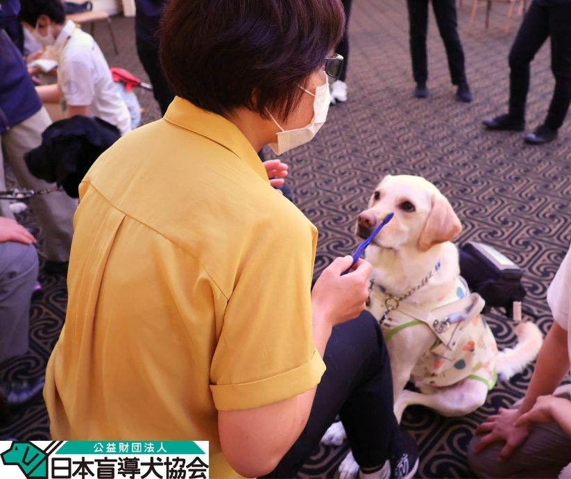 JGDA_GuideDog's tweet photo. 【にちもうトピックス】盲導犬新ユニット出発式を開催🦮🎉
前年度に、新たな盲導犬との一歩を踏み出した方々の歩みを祝う出発式。
7月2日、仙台訓練センターの盲導犬新ユニット出発式を開催し、5名の盲導犬ユーザーが参加しました💐
式典では、新しいパートナーへの想いや今後の目標をお話しいただきました。
また、出発式の前に、歯磨きやトイレなど日常生活での管理についてフォローアップも実施。盲導犬とのより良いパートナーシップのあり方を確認しながら、絆を深める時間となりました❣

#日本盲導犬協会 #盲導犬 #guidedog #視覚障害