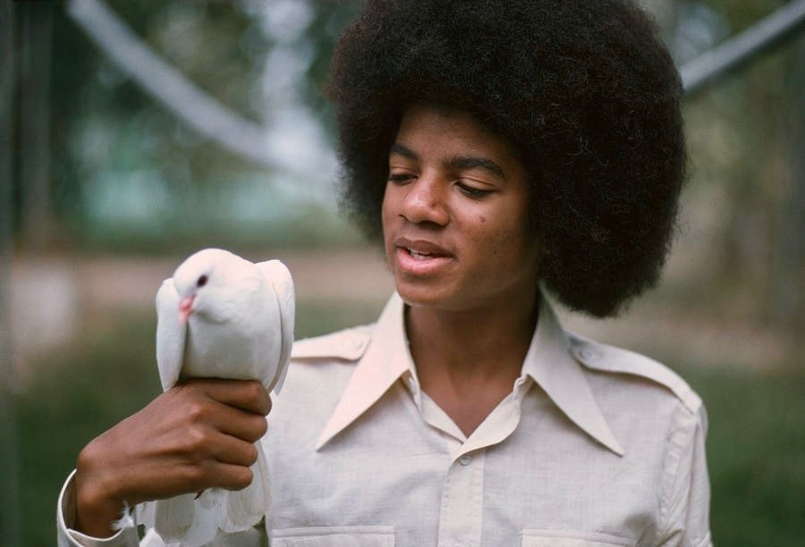 mjunivrrse's tweet photo. Michael Jackson photographed by Fin Costello (1975) https://t.co/tuqUp2m2Zn