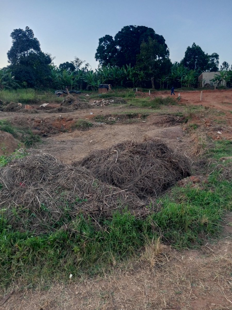 shukranproperty's tweet photo. PLOT FOR SALE ON ENTEBBE ROAD 

50ft by 100ft / 12 Decimals 

Located at #Kitende Kitovu 

Selling Price at #37m Ugx

Instalments accepted 

0706592177 https://t.co/aXpOavW0da