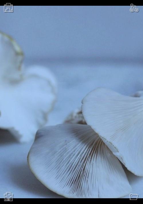 Pauguvi's tweet photo. Marine biological diversity maintains food chain stability and enhances ecosystem resilience. End every day with a clear conscience.🌙 https://t.co/cBRXly5OR5