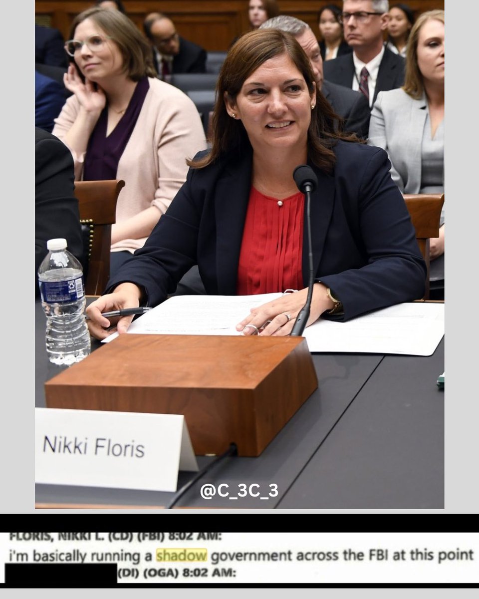 C_3C_3's tweet photo. “I’m basically running a shadow government across the FBI at this point.”

 Arrest Nikki Floris for sedition.

After this she was put in charge of the Intelligence Division of the Washington Field Office by Chris Wray.

Now she is at Microsoft with Lisa Monaco… https://t.co/7HKekvlePs