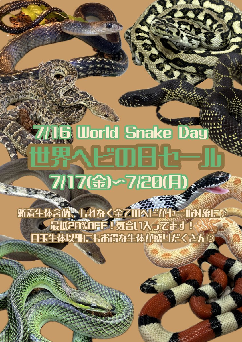 本日「ヘビの日SALE」最終日！！ 12:00〜20:00でオープン！！ 沢山のご