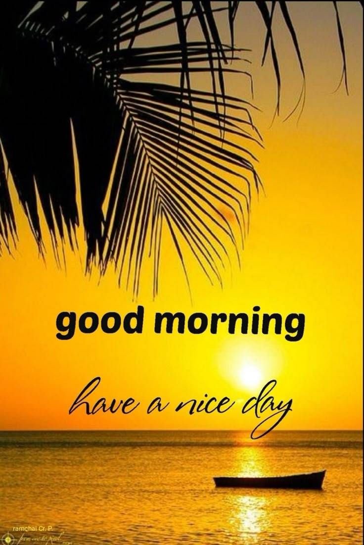 Sibo47221016's tweet photo. Everyone goodmorning hope you good ,let's thank God for waking us up another chance to try again  let's go 🙏 https://t.co/6GPPSOnu8Y