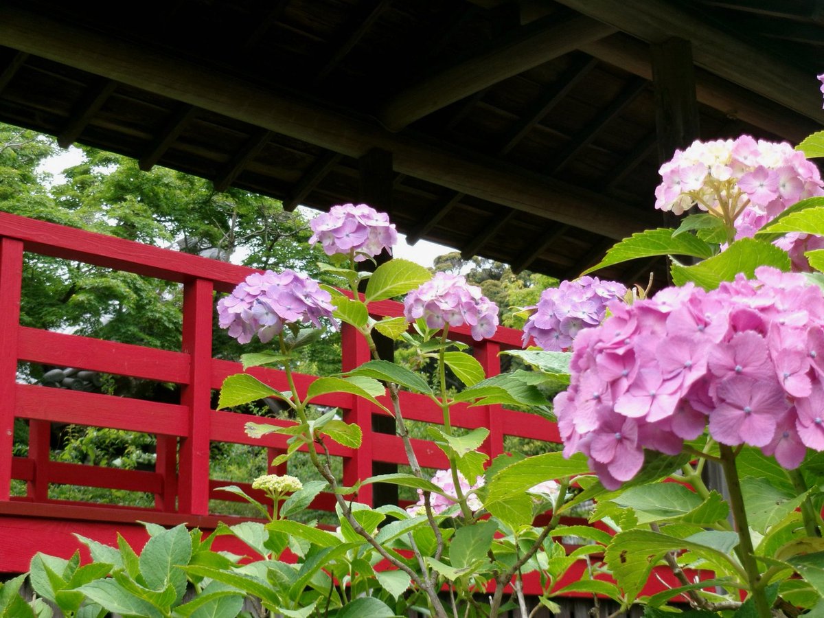 ranfernz25's tweet photo. 今日駅でめっちゃかわいい子見かけたんだけど、目が合った気がしてドキドキしてしまった…。でもきっと気のせいだよね。もう大人なのにこういうの恥ずかしいな（笑） https://t.co/PXW9NZauzP