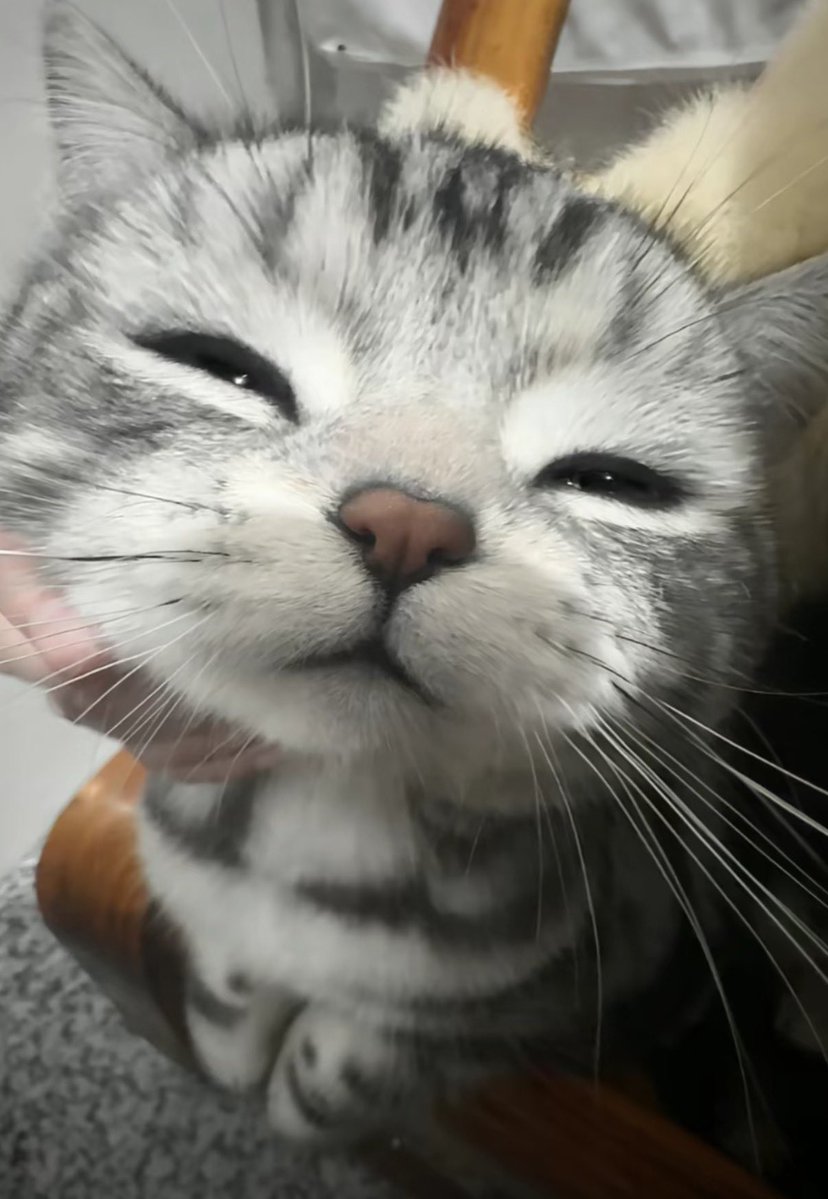 twaniimals's tweet photo. https://t.co/OY874ih8NG