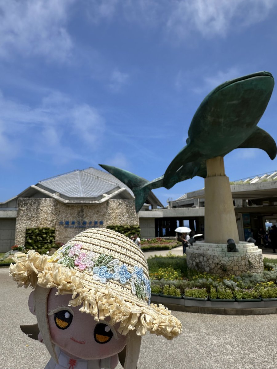 YUI_KAEDEP's tweet photo. 巨大生物だね

#初星学園ぬいぬい部 https://t.co/vybt4KKZP0