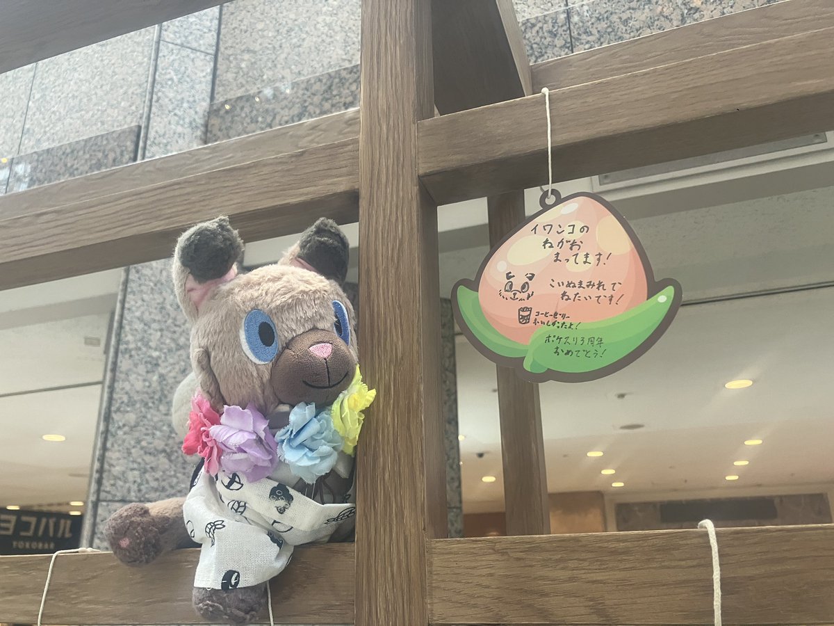tier1kun's tweet photo. いわんこをだしてください❣️
カビゴンくんをこいぬまみれします❣️🐶🐶🐶🐶🐶

#ポケスリ3周年をみんなで 
#ポケモンスリープ 
#イワンコ https://t.co/n1pqEZfPTe