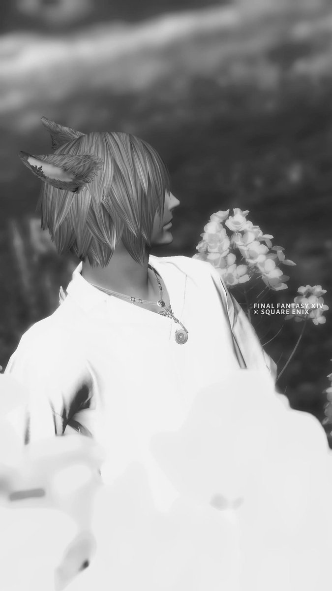Cielbn_FF14's tweet photo. 花の色

#FF14SS https://t.co/OVPYKY2ls8