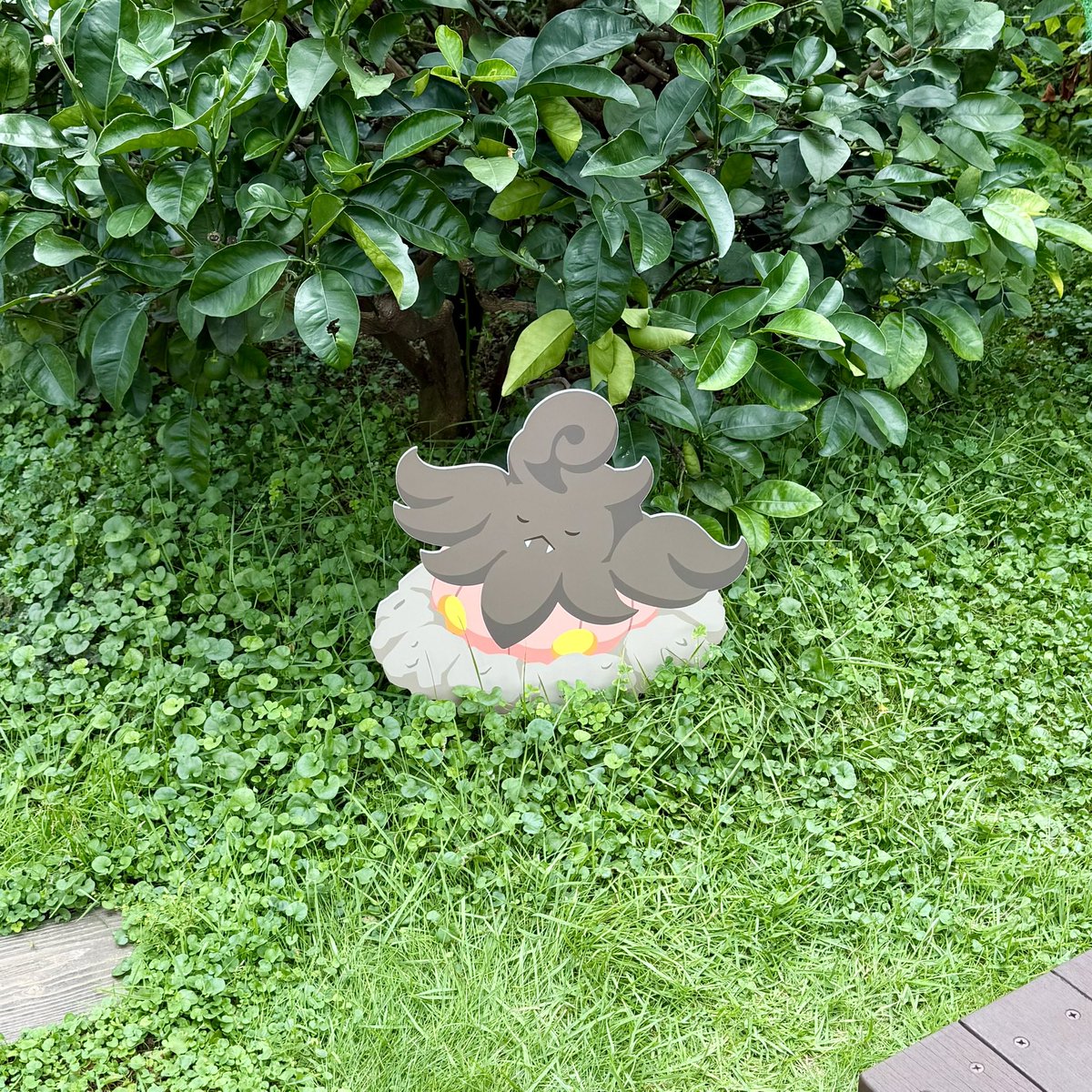 pikachu_pcn's tweet photo. ポケモンスリープ
横浜でみっけ！ポケモンねがおリサーチより https://t.co/DdSzXreu4u
