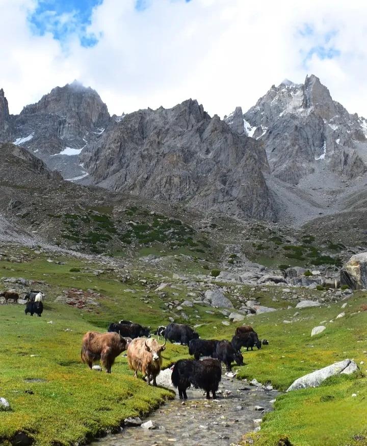 MananHnz's tweet photo. Standing where the earth kisses the clouds.
#BildeeHelMeadows #HaramoshValley #GilgitBaltistan https://t.co/yH7KxBslI5