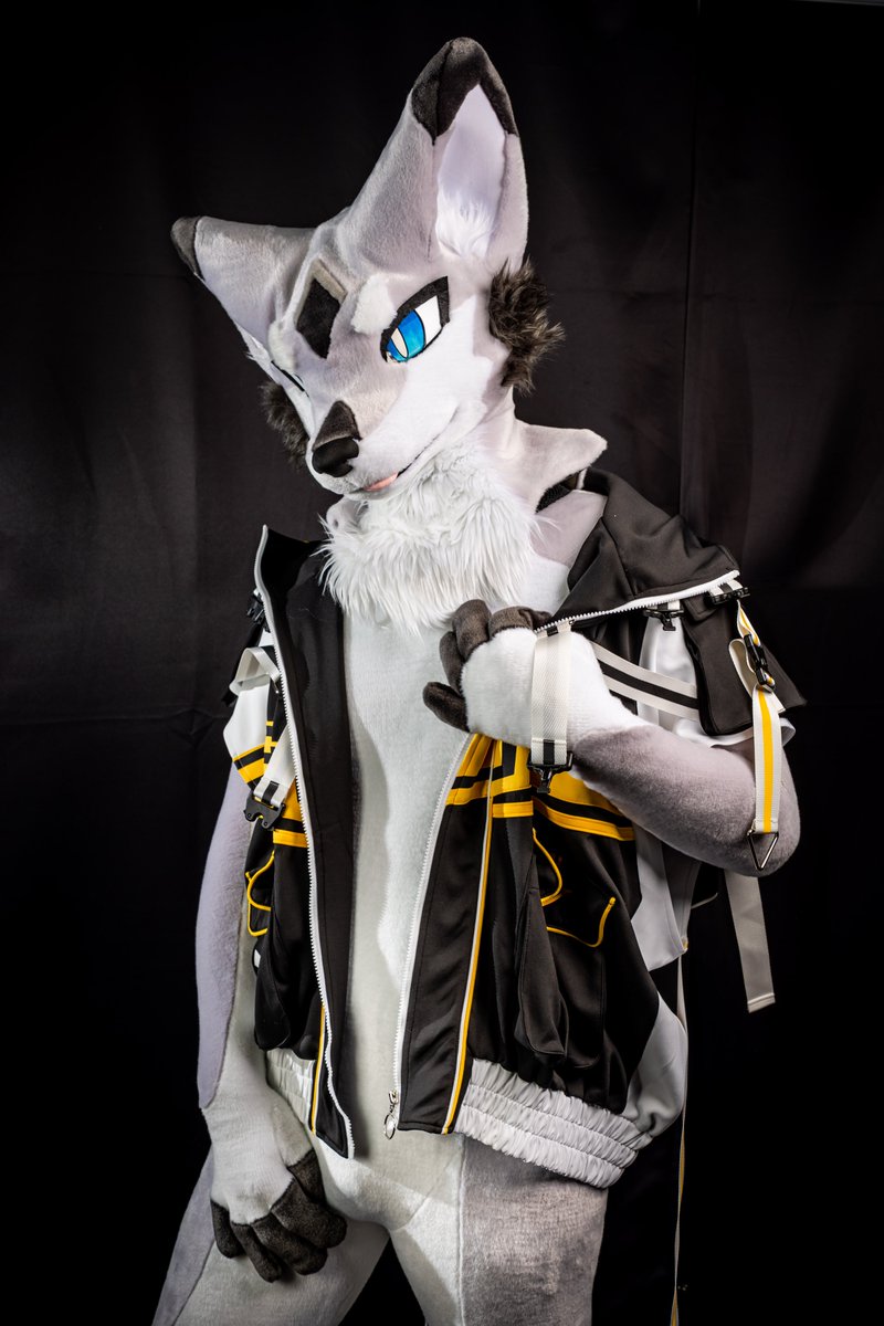 Fox_pups's tweet photo. #FursuitFriday
📷: @tankaku0924 https://t.co/jdda680EU5
