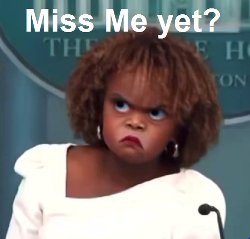 ChuckUp5's tweet photo. @GuntherEagleman anyone miss the last muppet?🤔 anyone?
Apart from China and Russia, anyone?
@K_JeanPierre @sophaller @PressSec https://t.co/cfbK4VGqp2