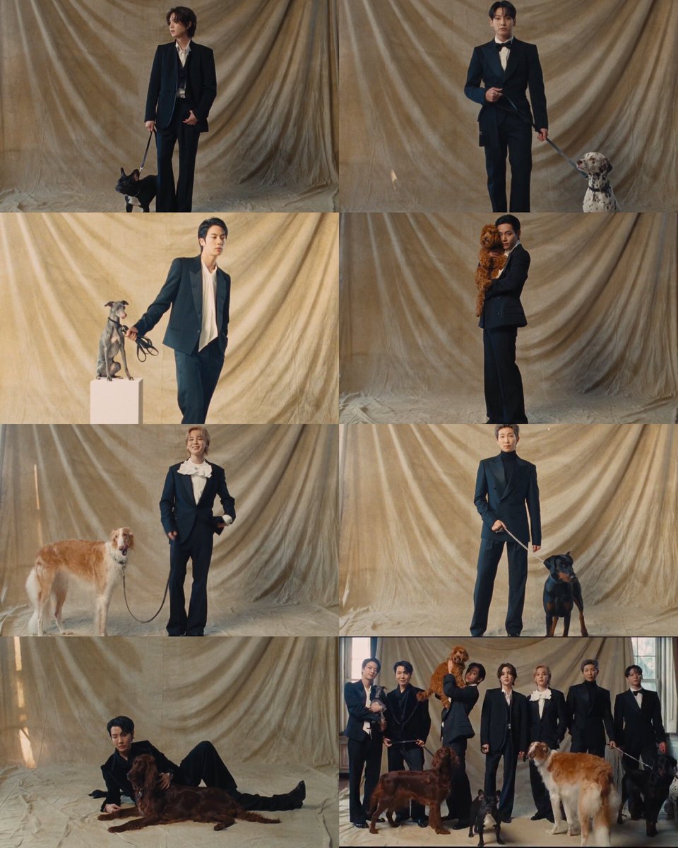 pjmIesviu's tweet photo. El concepto de los tannies posando al lado de los perritos siendo de razas distintas, ESTO ES LO MAS BONITO DE ESTE VIDEO 😭💜

NORMAL MV IS HERE
#BTS_ARİRANG
#BTS_NORMAL https://t.co/Zsa9DUhsib