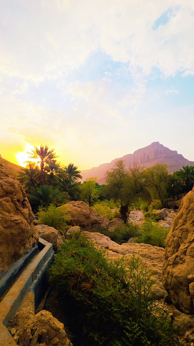 ALMANAI777's tweet photo. اللهم في يوم الجمعة :
اجعل أثر دعائنا فرحا ، وأثر صبرنا جبرا
وأثر توكلنا خيرا لا ينقطع❤

                         صباح الخير🌤 https://t.co/lEf2BttT02