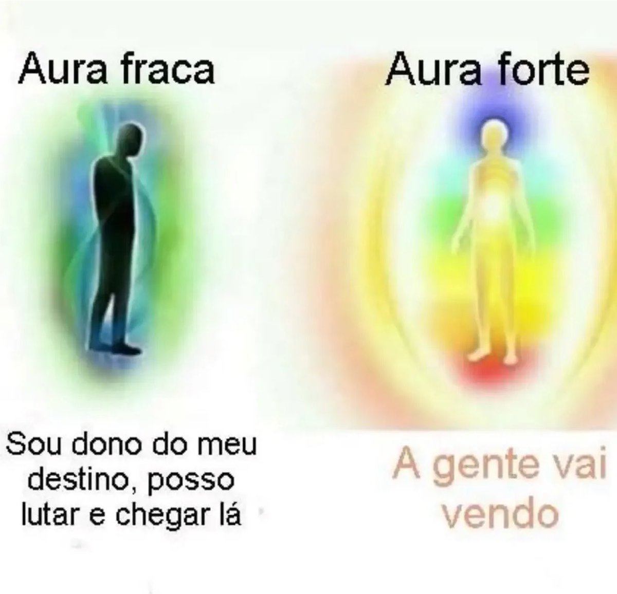 shitpostverdade's tweet photo. https://t.co/ltzAsL07el