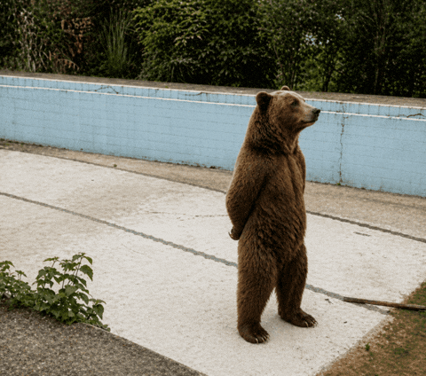 haryourteam's tweet photo. How life feels after paying my debt and thinking about not getting into another one https://t.co/lMPkD5YLGN