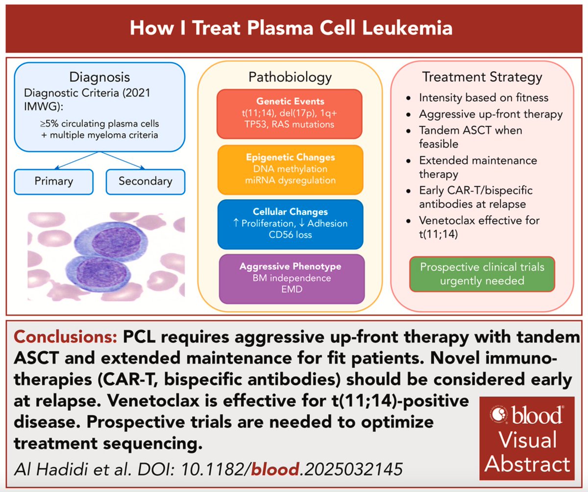 HadidiSamer's tweet photo. How I treat plasma cell leukemia  @BloodPortfolio #mmsm @utswcancer @UTSWMedCenter @UAMSMyeloma @ldandersonjr @HadidiSamer @ASH_hematology 

➡️https://t.co/4MoBX74JPj
🧵 https://t.co/GmxKRMfATU