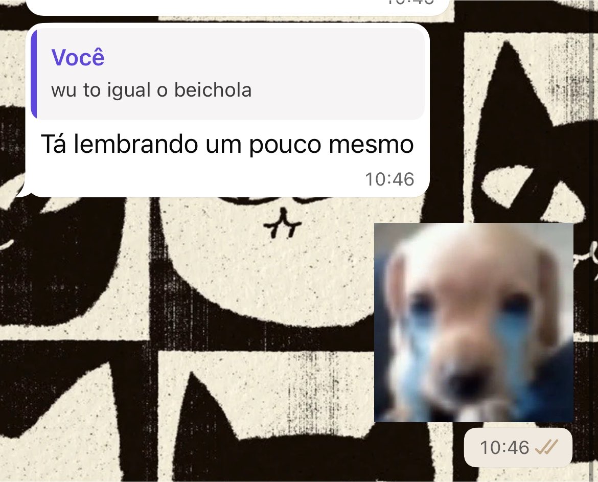 Beankkkka's tweet photo. que amgs são esses 😭😭😭😭 https://t.co/pHFCsbMYs4