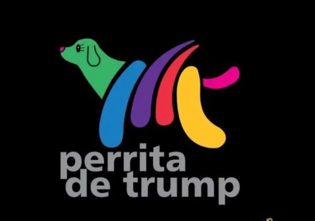 blitzkrieg_69's tweet photo. @Tvoyacoger @DerechaDiarioMX @RicardoBSalinas #LaPerraDeTrump
#LaPerritaDeTrump
#NoVeasTVAzteca
@RicardoBSalinas https://t.co/sBRMm93MCX