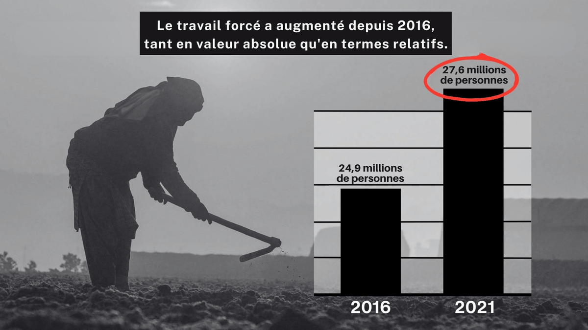 USAenFrancais's tweet photo. Selon l'Organisation internationale du Travail, le travail forcé touche plus de 27,6 millions de personnes dans le monde, et ce chiffre continue d'augmenter.

Le président Trump s'attaque à la source de l'esclavage moderne en exigeant des partenaires commerciaux des USA qu'ils adoptent et appliquent, comme les États-Unis, des interdictions d'importation afin que les produits issus de cette pratique effroyable ne bénéficient plus d'un avantage concurrentiel injuste. - Via @USTradeRep