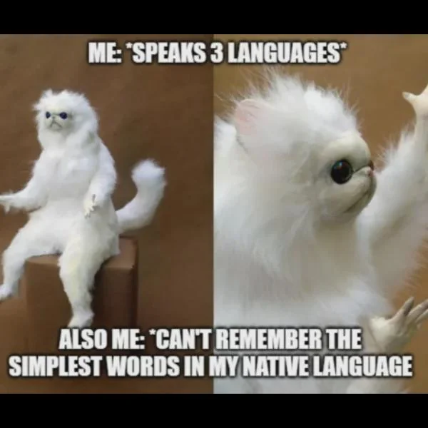 languagejunkie_'s tweet photo. Maybe it's a brain overload !
#Spanish #LanguageLearning #Polyglot #LosNumeros #SpanishTips #LearnSpanish #Education #praktikaai https://t.co/Bw2072qkdv