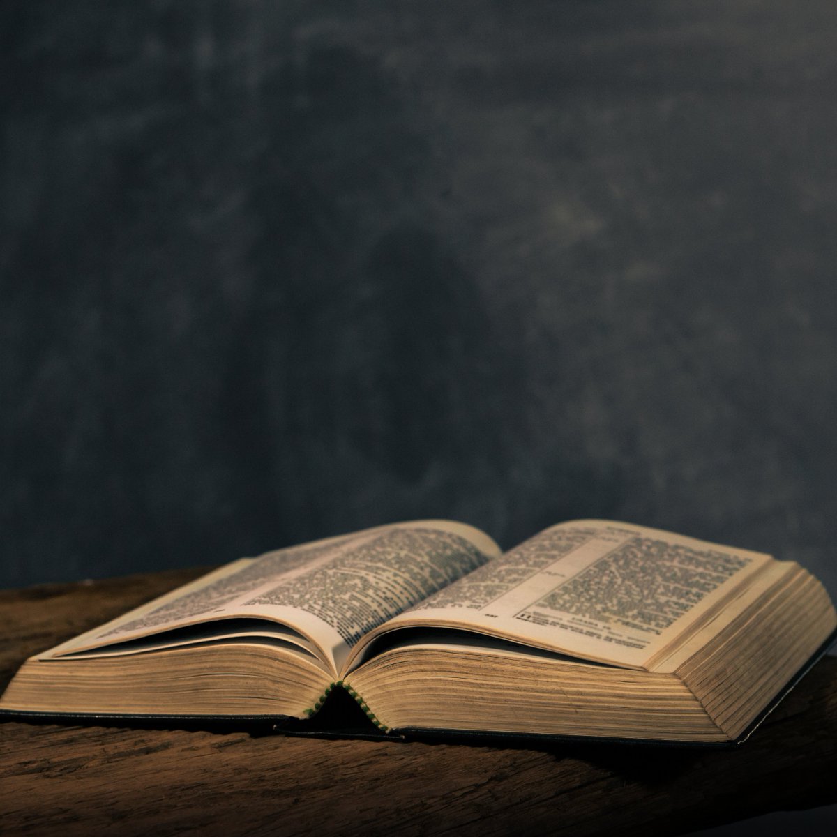 TPPF's tweet photo. Opponents of the new literature list are still confused about religion and culture.
 
The Bible is the single most important book ever written and is necessary to understand world history, philosophy, art, and culture, especially the history and culture of the United States. https://t.co/hOF4tvlF99