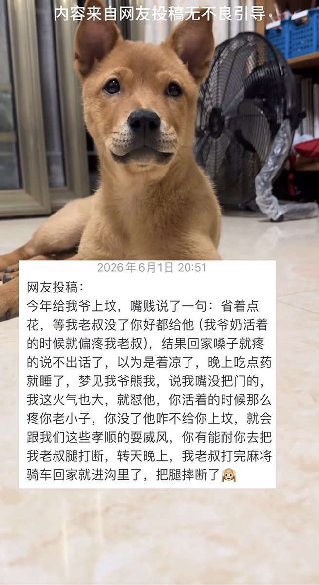 SdLyq9's tweet photo. 有些事情不可不信也不可全信 https://t.co/QhlqMms2ZI