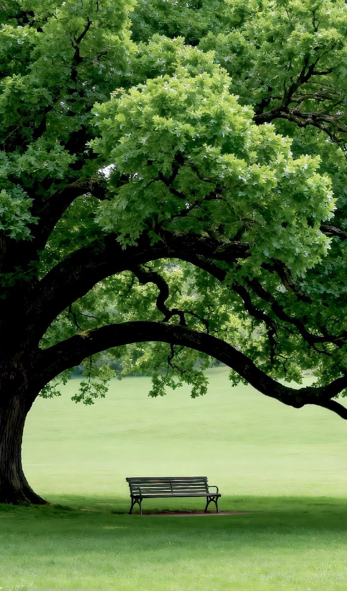 AmordAlma_'s tweet photo. 🍃💚🍃 Beautiful 🍃💚🍃 https://t.co/VBiHDs7Fbz